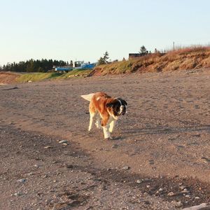 Meet your Posher, Jocelyn